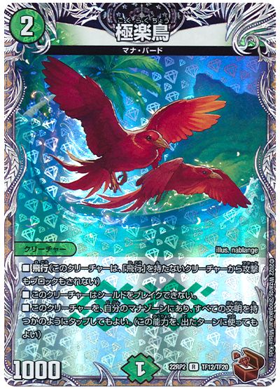 極楽鳥