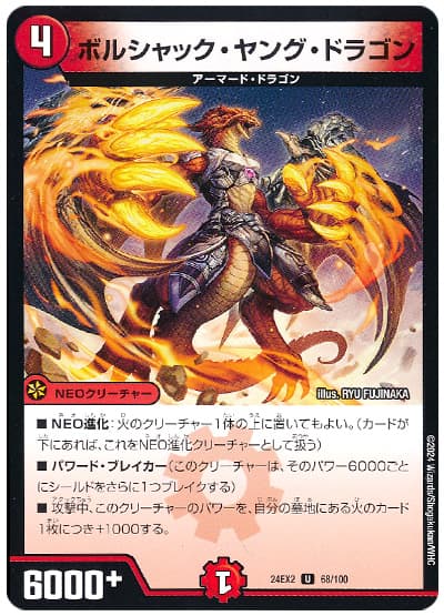 ボルシャック・ヤング・ドラゴン