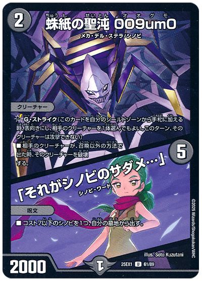 蛛紙の聖沌 009um0/「それがシノビのサダメ…」
