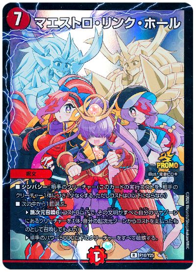 マエストロ・リンク・ホール(P10/Y25)